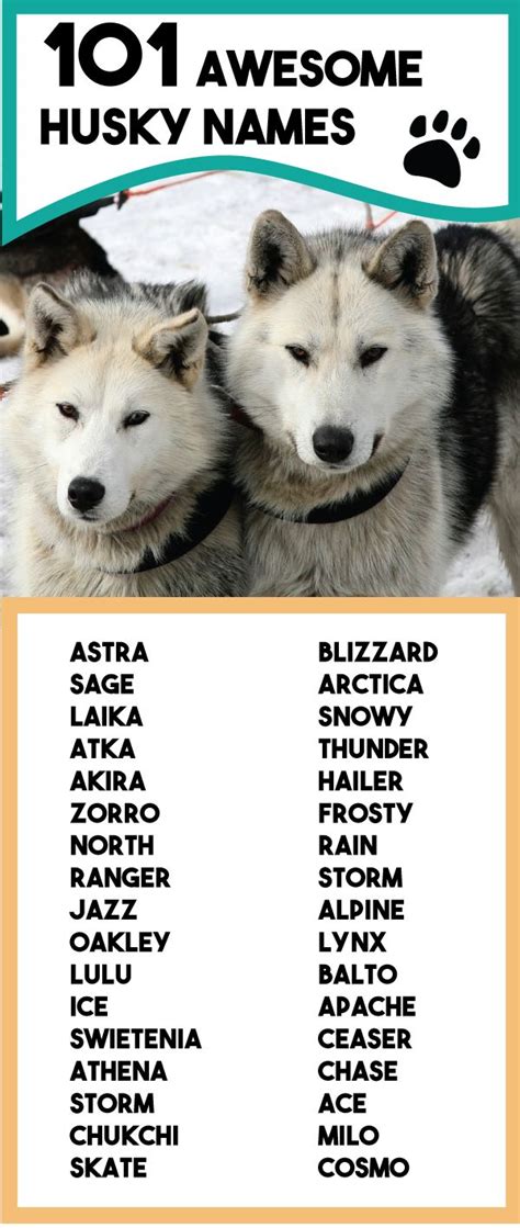 Adorable husky names. Things To Know About Adorable husky names. 